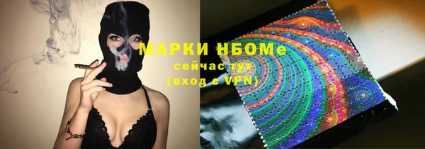 ГАЛЛЮЦИНОГЕННЫЕ ГРИБЫ Вязники