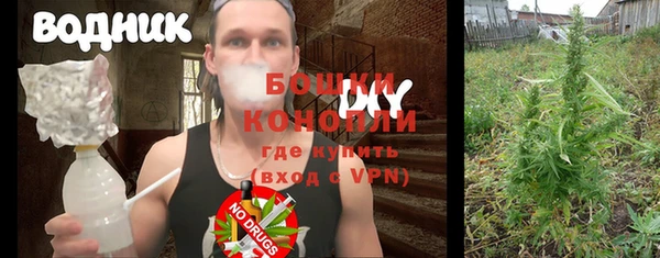 ГАЛЛЮЦИНОГЕННЫЕ ГРИБЫ Вязники