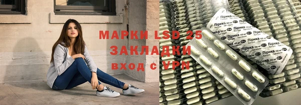 прущая мука Вяземский