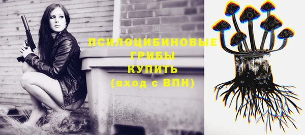 первитин Вязьма