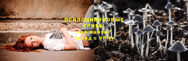 прущая мука Вяземский