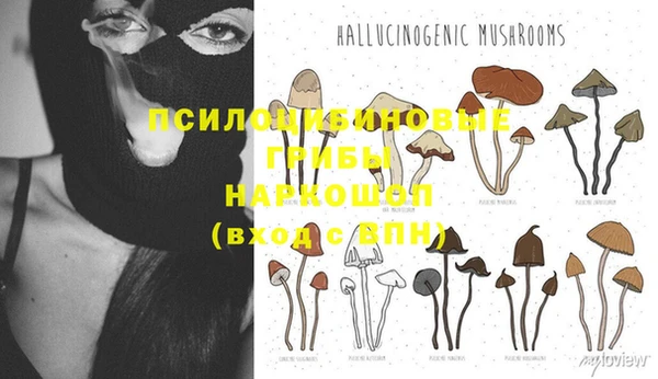 прущая мука Вяземский