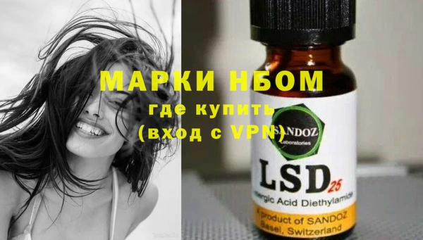 ГАЛЛЮЦИНОГЕННЫЕ ГРИБЫ Вязники