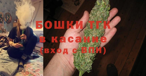 ГАЛЛЮЦИНОГЕННЫЕ ГРИБЫ Вязники