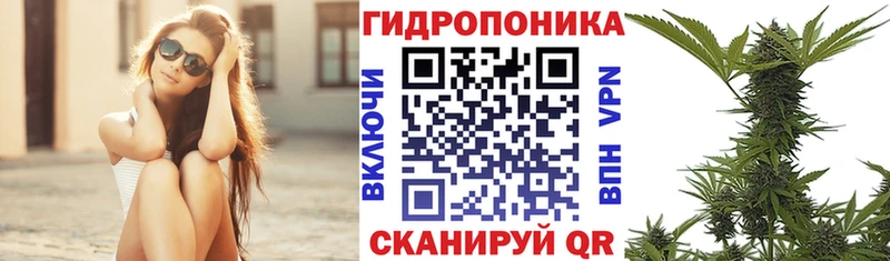 Бошки Шишки план  Купить где  Темников 